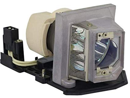 AuKing BL-FP190A Lampe Projecteur Ampoule pour OPTOMA SP.8TK01GC01 DAESNZZU DAEWSZG DS325 DW326e DX316 DX325 DX326 DX3246 H180X S300 W301 X300 X301