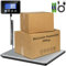 RAOYAN Paketwaage 300kg Plattformwaage 20g Genauigkeit Briefwaage, Kofferwaage für Pakete/Lager/Gepäck,Paketwaage mit LCD/Hold/Tara Funktion, Batterien&Typ-C