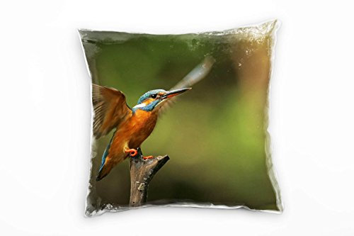 Paul Sinus Art Tiere, Vogel, Eisvogel, orange, türkis, grün Deko Kissen 40x40cm für Couch Sofa Lounge Zierkissen - Dekoration zum Wohlfühlen