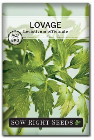 Sow Right Seeds - Lovage Seed for Planting - Culinary Herb to Plant in Your Home Herb Garden - Indoors or Outdoors - Flavorful and Productive Greens - Non-GMO Heirloom Seeds - Great Gardening Gift (1)
