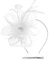 Weiß Fascinator Hut Blume Mesh Federn Haarschmuck Haar Clip Stirnband Tea Party Hochzeit Derby Cocktail Kopfbedeckung Headwear für Damen Mädchen