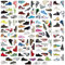 120 pcs Sneaker Graffiti Stickers, Cartoon Stickers, No Repeat for Sneakers, Notebook, Guitar, Trolley Case - Waterproof Car Graffiti for Teen Boys and Girls
