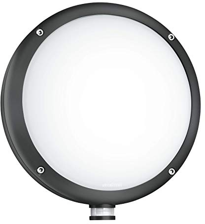 Steinel Außenleuchte L 330 S, 8.4 W Wandleuchte, 360° Bewegungsmelder, 7m Reichweite, schlagfest, warmweiß, Anthrazit