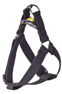 Dingo Hundegeschirr 'fred' Walk-in/Step-in aus Baumwollband Große L Breite Band 2,5x70 cm (52-74 cm) Schwarz 94820