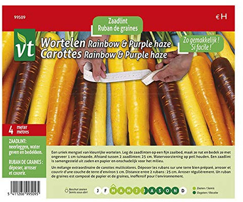 Regenbogen Karotten & Lila Dunst - Gemüsesamen