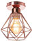 TOKIUS Plafonnier Industriel Vintage Luminaire E27 Rétro Lustre Suspension Design Métal Cage Ø160mm éclairage plafond Pour Salon Cuisine Chambre (Or rose-PL-1)