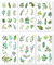 AYVRUOP eukalyptus deko,deko taufe,sticker hochzeit,12 Blätter à 126 Stück für dekoratives Scrapbooking, Journaling, Kalenderplanung, Kerzenbasteln und andere Kunstwerke