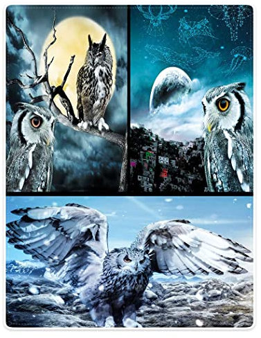 Kuscheldecke Eule Eulenmotiv Decke Sofa Bedruckt Couchdecke Personalisierte Wohndecke Sofadecke, Für Büro, Couch, Bett, 100x125cm