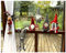 heimtexland ® Deko Wichtel Weihnachten als Kantenhocker oder Vorhang Raffhalter 50 cm Dekoration Advent Typ711