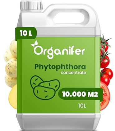 Concentré Phytophthora - 10 Ml Pour 10000 M2 - Produit Pour Pommes De Terre Et Tomates - Entretien Des Plantes - Engrais Pour Légumes - Organifer