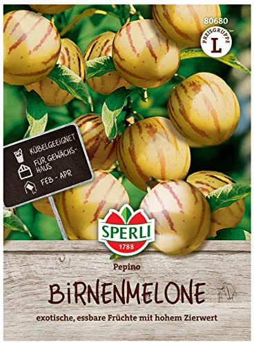 80680 Sperli Premium Birnenmelone Samen | Melonenbirne Samen | Pepino Samen | Pepino Melonenbirne Samen | Birnenmelone Pflanze | Melonenbirne Pflanze