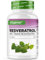 Resvératrol - 520 mg par gélule - 98% trans-resvératrol de l'extrait de racine de renouée du Japon 100:1 + pipérine pour une biodisponibilité optimisée - 60 gélules - Hautement dosé - Vegan