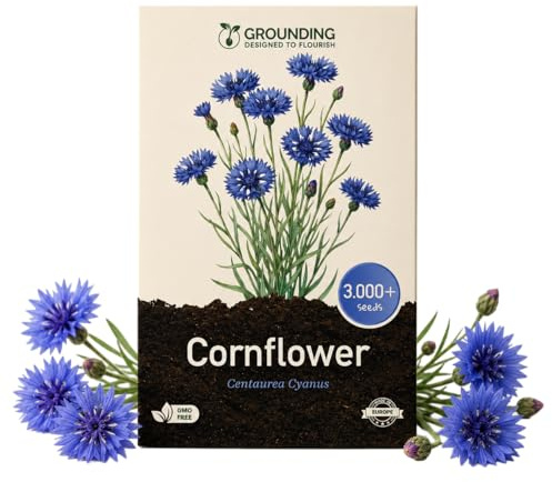 Grounding - Semi di Fiordaliso Doppio Blu (Centaurea cyanus), 3000+ semi - Fiori doppi blu intenso per aiuole e prato fiorito - Copertura 15 m² - Qualità Europea