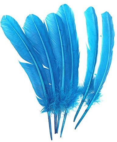 ERGEOB 20 stück Truthahnfedern basteln federn Bogen federn ERGEOB 20-30cm Hellblau