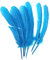 ERGEOB 20 stück Truthahnfedern basteln Federn Bogen Federn 20-30cm Hellblau