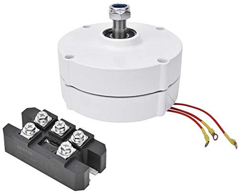 Generatore Eolico 12V 100W, alternatore sincrono a turbina eolica trifase NE-100 con Motore a magneti permanenti(Generatore + raddrizzatore)