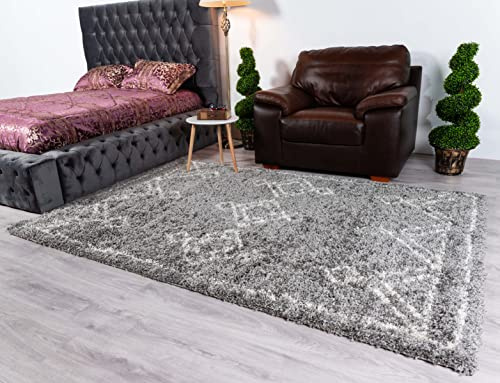 BPIL Shaggy Rug Trellis DESIGN Modern Rugs Living Room Extra Large Small Rectangular Size Soft Touch Thick Fluffy Pile Living Room Area Rugs Non Shedding (2201 SILVER 120cm x 170cm (4ft x 6ft))