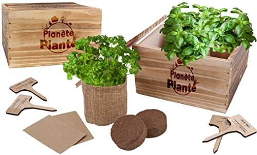 PLANÈTE PLANTE - Jardinière en Bois avec 4 Sacs de Jute - Kit de Jardinage - 170608 - Bois - Jardin - Nature - Plante - Fleurs - Plantation - Jeu pour Enfant - À Partir de 4 Ans