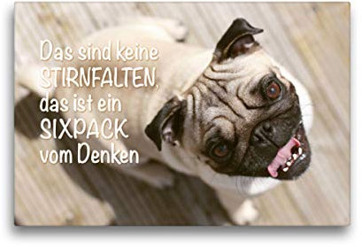 CALVENDO Das sind Keine Stirnfalten, das ist EIN Sixpack vom Denken.
