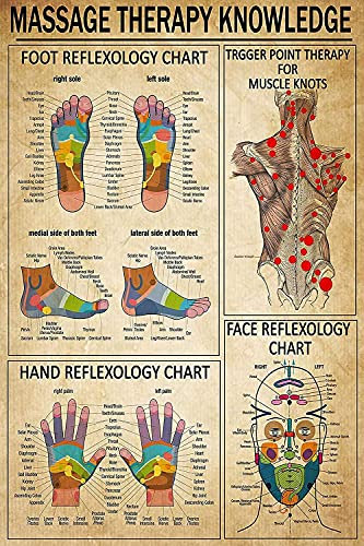 Pzecaru Sehr langlebiges Metallschild, Massagetherapie, Wissen, Fußreflexzonendiagramm, Triggerpunkt-Therapie, Wanddekoration für Zuhause, Wohnzimmer, Schlafzimmer, 30,5 x 40,6 cm