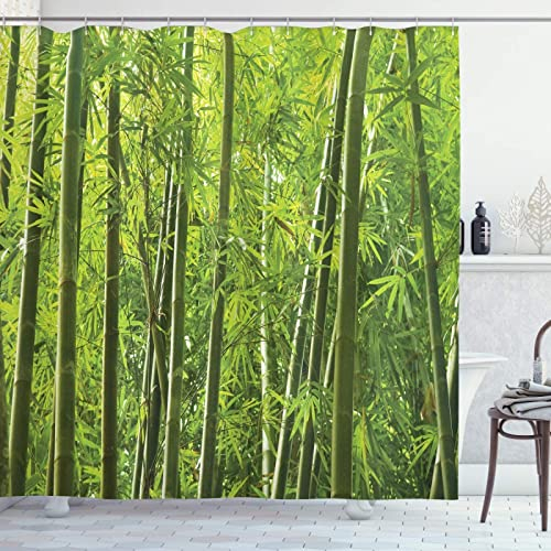 Duschvorhang 240x200 Bambus Duschrollo Wasserabweisend Anti-Schimmel mit 12 Duschvorhangringen, 3D Bedrucktshower Shower Curtains, für Duschrollo für Badewanne Dusche