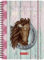 BRUNNEN 1072150081 „Ponylove“, Wochenkalender/Schülerkalender 2020/2021, 2 Seiten = 1 Woche , Blattgröße 14,8 x 21 cm , A5 , PP-Einband
