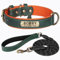 SEOUGEE Hundehalsband aus echtem Leder, personalisierbar und Leine, weich gepolstert, strapazierfähig, mit individuellem Namensschild für kleine, mittelgroße und große Hunde (XL, grünes Set, 42–55 cm)