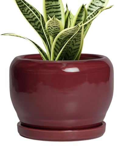 SQOWL 6 Inch Plant Pot - Ceramic Planter for Indoor Plants Outdoor, Round Planter with Drainage Hole and Saucer, Decorative Modern Small Flower Pots, Room Decor, Gifts for Plant Lovers, Red