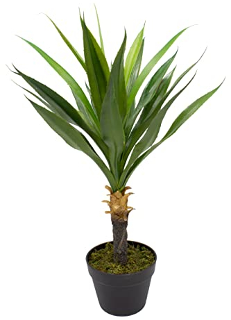 mucplants künstliche Yucca 75cm Kunstpalmen künstliche Palme Palmlilien Yuccapalme Dekopalme