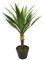 mucplants künstliche Yucca 75cm Kunstpalmen künstliche Palme Palmlilien Yuccapalme Dekopalme