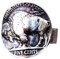Büffelring, Jahrgang Bison-Ring für Männer, Nordischer Wikinger Stier Tierring Stier Schmuck, Keltisch Stier Fünf-Cent-Münzring Hip Hop Stier-Band-Ring Retro Punk Stierkampfarena für Jungen (18.9)