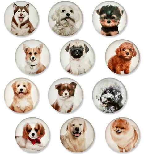Hshenjhu 12 Stück Tier Kühlschrankmagnete, lustige dekorative Magnete kühlschrank,Chromatisch lustige Magnete, für Kühlschrank, Magnettafel, Whiteboard, Pinnwand etc. (Rund/30mm
