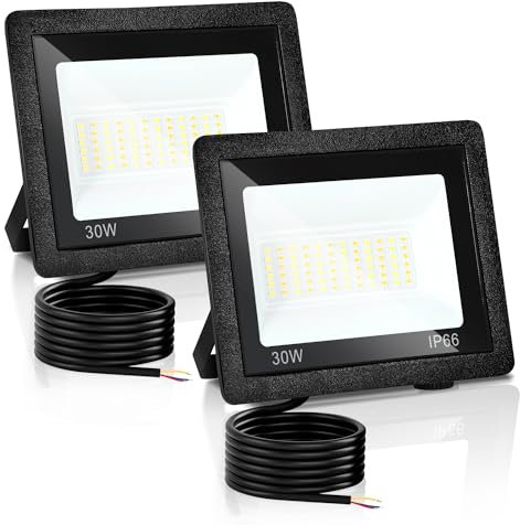 Izrielar 30W Projecteurs LED Extérieur 2 Pièces, Projecteur Super Lumineux Extérieur, IP66 Imperméable, Spots avec 3 Températures de Couleur Réglables pour Jardin, Cours, Garage, Terrain de Sport
