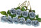 DuHouse 10 Stück künstliche Rosen Seidenblumen Fake Rose 54cm einzelnen Langen Stiel künstlich Blumen Bouquet für Brautstrauß Arrangement Hochzeit Tafelaufsatz Party Haus Küche Dekor(grau blau)