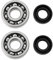 eMagTech 2 Lot Roulements de Vilebrequin Et Joints Arbre Compatible avec Stihl BG56 BG66 BG86 SH56 SH85 SH86 Reconstruction de Joint de Roulement Principal 9503 003 0246