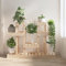 homiuse Pflanzenständer Massivholz Kiefer Pflanzenregal BlumenstäNder Blumenregal BlumenstäNder Holz Blumenhocker Holz Pflanzentreppe Plant Stand Pflanzenregal Indoor 104,5x25x77,5 cm Hellbraun