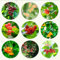 150 pcs kirschbaum kaufen samen säulenobstbäume zimmerpflanze obst frisch nachhaltige geschenke für frauen säulenobst balkon deko exotische pflanzen winterhart obst samen plant winterharte