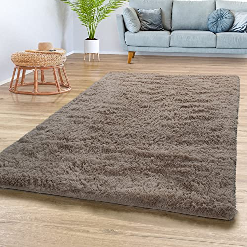 Teppich Wohnzimmer Hochflor Langflor Weich Soft Modernes Einfarbiges Design, Farbe: Beige Taupe, Größe:200x290 cm