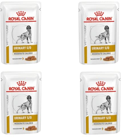 Royal Canin Urinary S/O Moderate Calorie | 4er Pack | 4 x 12 x 100 g | Nassfutter für Hunde | Zur Unterstützung bei Struvitsteinen und zur Verringerung von Struvitsteinrezidive