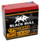 Blackbull 12V 28AH Akku Zyklenfest Schraubanschluss BleiAkku für E-Trike Pisa Modena Palermo Econelo 20AH