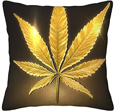 ESASAM Goldenes Cannabis-Kordsamt – weiches und gemütliches Kissen für Entspannung und Unterstützung, atmungsaktives Kissen, Sofakissen, Reisekissen, Bürostuhlkissen