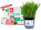 Fresh Live Cat Grass | A Taste of the Outdoors for Indoor Cats | Ready to Eat | Grown in the UK | Aids Digestion & Hairballs | By Cat Mommy (One, Mix)