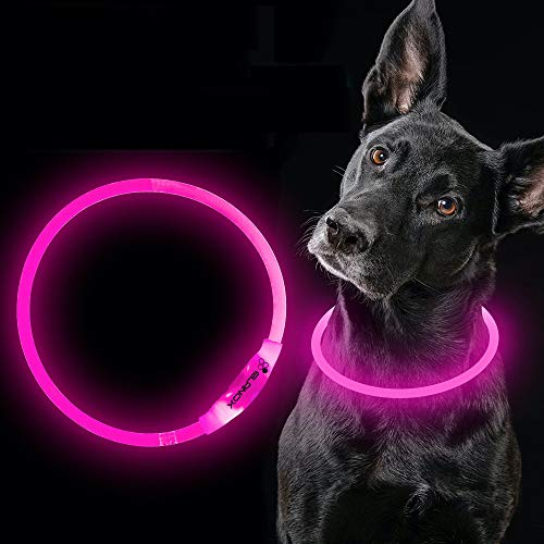 LED Hundehalsband wiederaufladbar USB universelle Größe Leuchthalsband (pink)