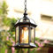 Mengjay Retro schwarz Außen-Hängeleuchte Wasserdichte Hängelampe Höhenverstellbar E27 Pendelleuchte Aluminium/glas Aussen Innen Garten Laterne für Terrasse Pavillon Balkon Trauben Rahmen