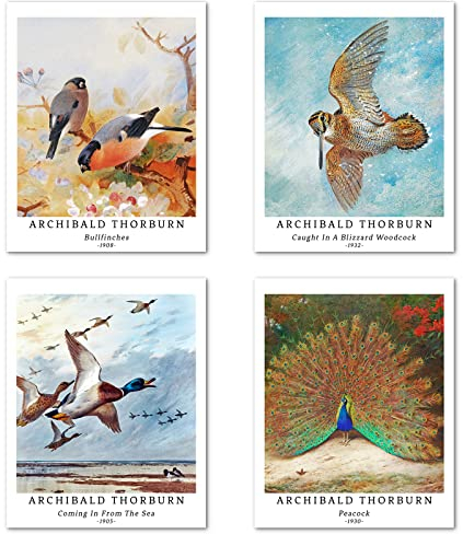 Kunstdruck Ungerahmt Klassischer Vogel Bilder Set von 4, Poster Größe: 20x25 cm Premium Kunstpapier Wanddeko Vintager eleganter Elster Gänse Pfau Passenden Wohnzimmer Deko Archibald Thorburn Painting