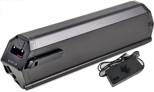 48V E-Bike-Akku, Lithium-Akkupack, 48V 13Ah 15Ah 18Ah E-Bike Akku Lithium-Akkupack Herausnehmbare Fahrrad Batterien 500W 750W 1000W Mit BMS Und Ladegerät 48V 18Ah