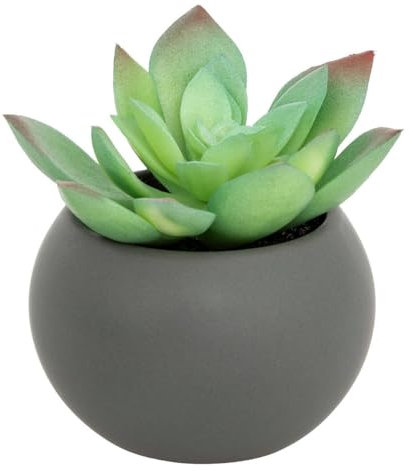 Atmosphera - Plante grasse en Pot H13 - Modèle g/Gris