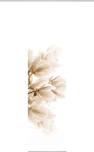 HOME WOHNIDEEN 084656 Schiebewand KESSI Seidenoptik, Digitaldruck mit Zubehör 245x60, Farbe:Sand, Größe:245 x 60 cm, Anzahl:6er Set (4X Bedruckt. 2X Uni)