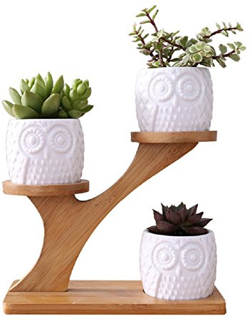 Youfui Pots de Fleurs succulentes en Forme de Chouette pour Plantes d'intérieur avec Soucoupe en Bambou en céramique avec Drainage, décoration de Maison, Bureau, Jardin
