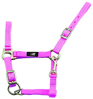 Umbrien Halfter - Pony Shetland, Türkis